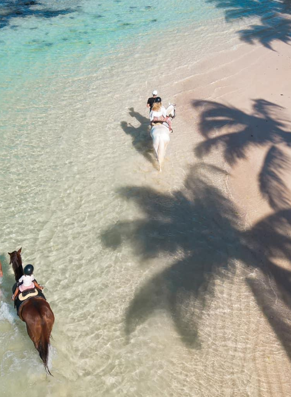 horse riding mauritius