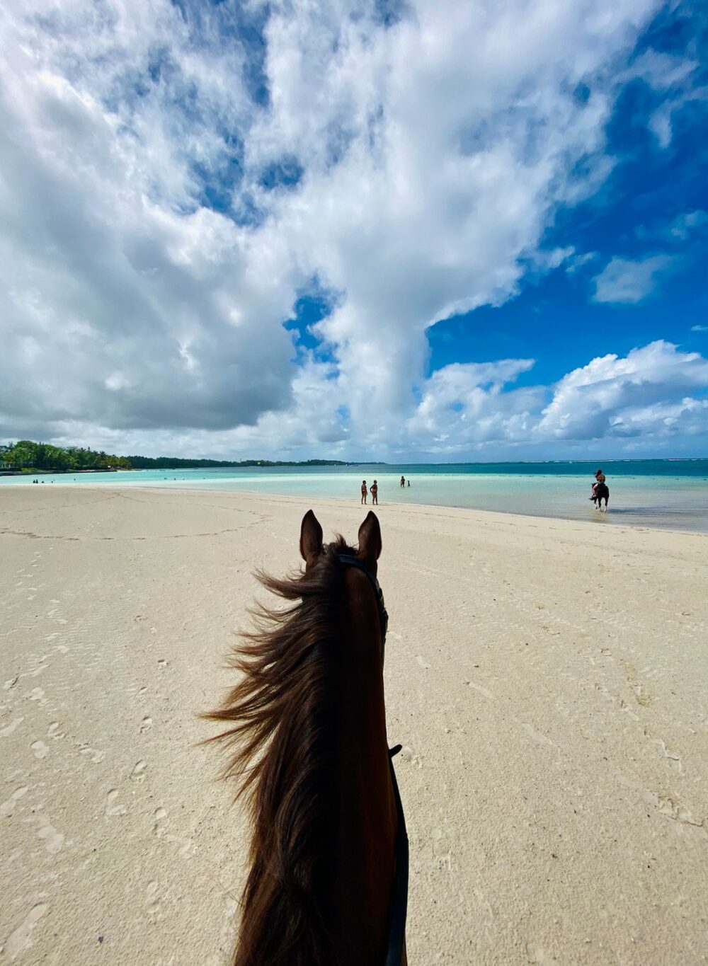horse riding mauritius