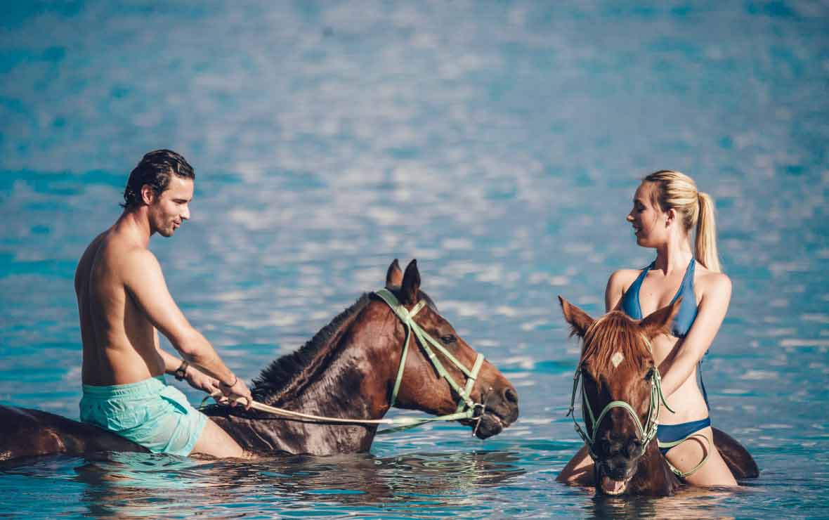 horse riding balaclava mauritius