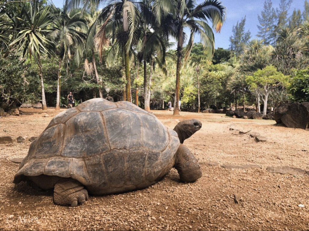 La vanille nature park mauritius